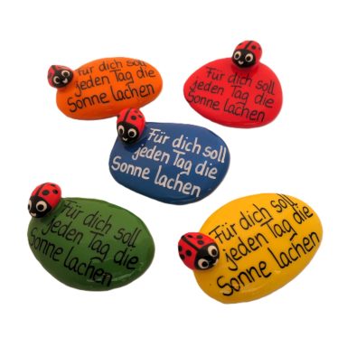Bunte Glückssteine mit Käfer und Wunschtext personalisierbar